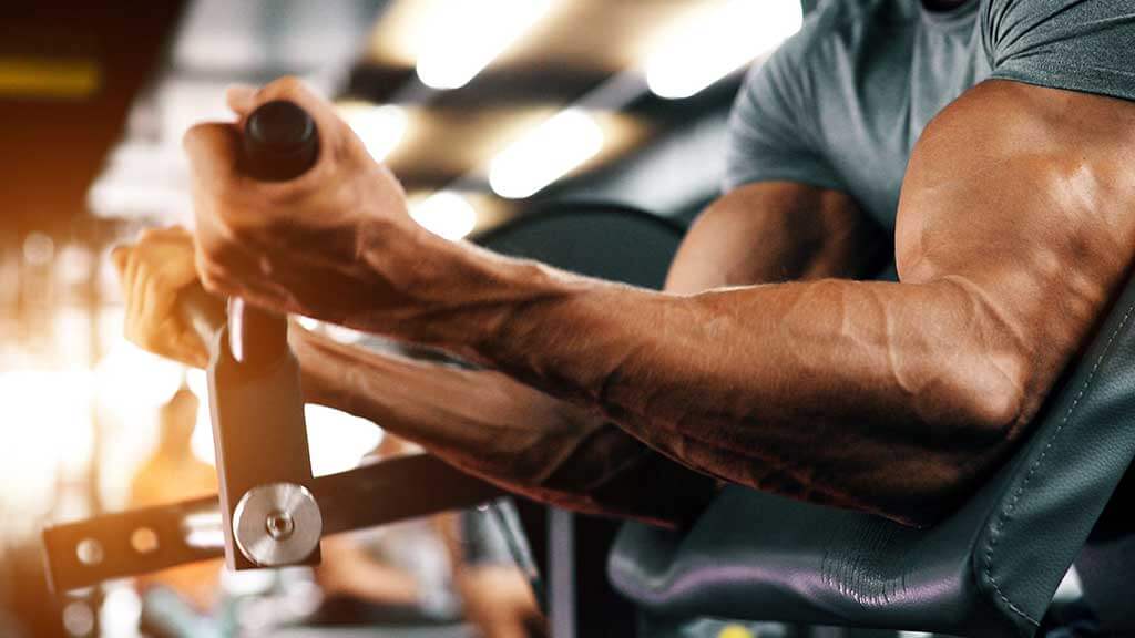  Beslenme Danışmanlığı