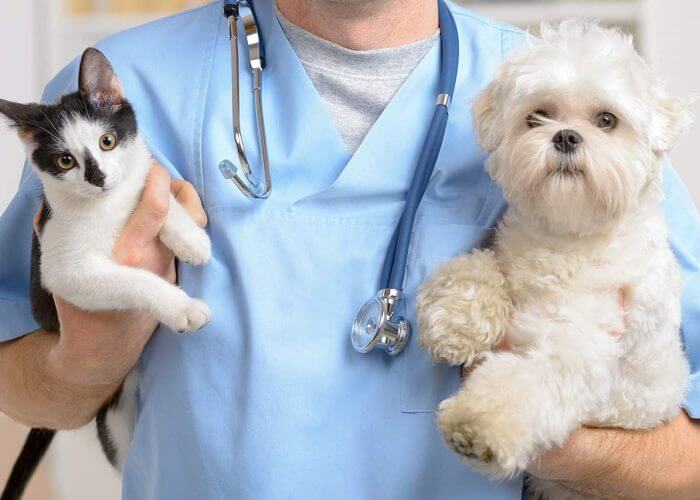 Acil Durum ve Cerrahi Müdahale